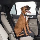 Waterproof Neoprene Seat Protector - Universal Fit for Car Seats - Anti-Skid Technology