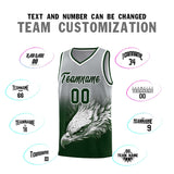 Custom Gray Green Eagle Pattern Graffiti Pattern Sports Uniform Basketball Jersey