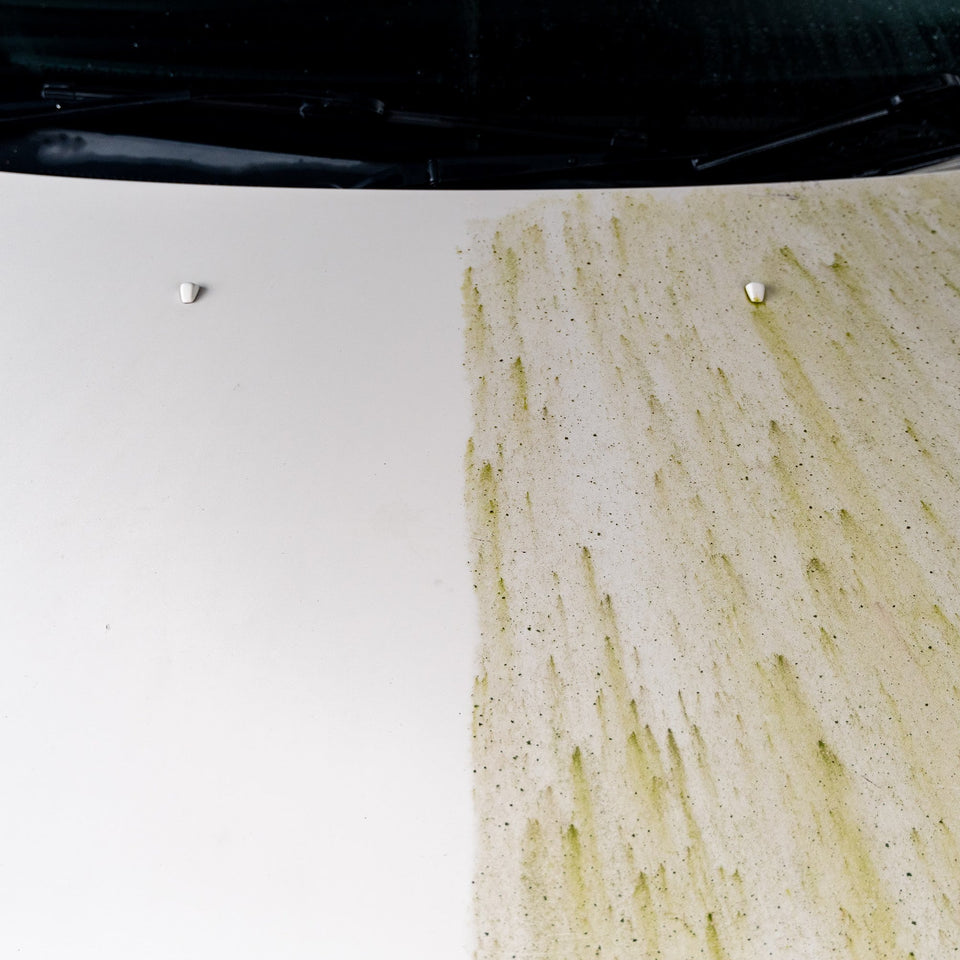 Dynamite Traffic Film Remover