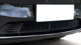 2025-2026 Tesla Model Y Juniper Front Lower Bumper Grille Insert