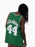 Brian Scalabrine Boston Celtics Hardwood Classics Throwback NBA Swingman Jersey