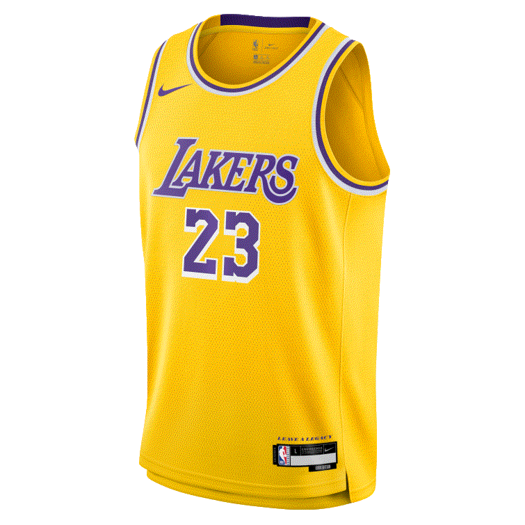 Lebron James Los Angeles Lakers 2026 Icon Edition Youth NBA Swingman Jersey