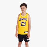 Lebron James Los Angeles Lakers 2026 Icon Edition Youth NBA Swingman Jersey