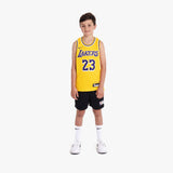 Lebron James Los Angeles Lakers 2026 Icon Edition Youth NBA Swingman Jersey