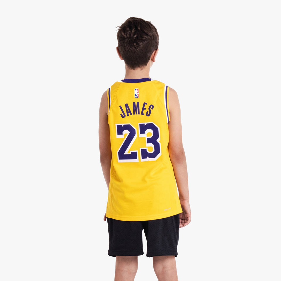 Lebron James Los Angeles Lakers 2026 Icon Edition Youth NBA Swingman Jersey