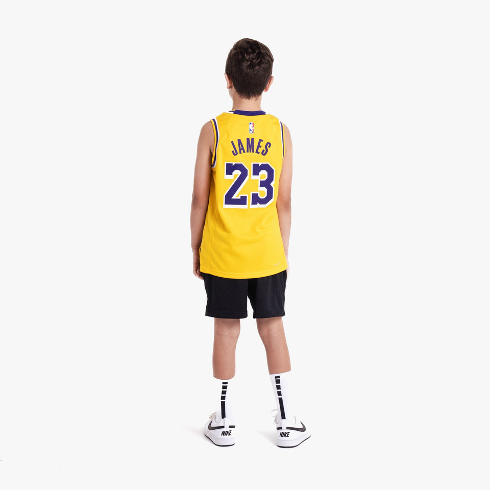 Lebron James Los Angeles Lakers 2026 Icon Edition Youth NBA Swingman Jersey