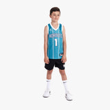 LaMelo Ball Charlotte Hornets 2026 Icon Edition Youth NBA Swingman Jersey