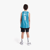 LaMelo Ball Charlotte Hornets 2026 Icon Edition Youth NBA Swingman Jersey